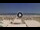 Webcam in Riccione, 0.8 mi away