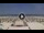 Webcam in Riccione, 0.2 km