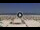 Webcam in Riccione, 0.4 mi away