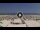 Webcam in Riccione, 0.7 km