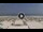 Webcam in Riccione, 0.4 mi away