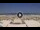 Webcam in Riccione, 0.4 km entfernt