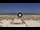Webcam in Riccione, 0.4 mi away
