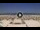 Webcam in Riccione, 0.2 mi away