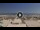 Webcam in Riccione, 0.4 mi away