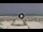 Webcam in Riccione, 0.4 mi away