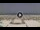 Webcam in Riccione, 0.8 mi away
