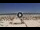 Webcam in Riccione, 0.2 mi away