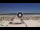 Webcam in Riccione, 0.2 mi away
