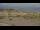 Webcam in Dunkirk, 0.6 mi away