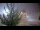 Webcam in Saint-Lô, 32 km