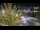 Webcam in Saint-Lô, 118.2 km entfernt