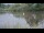 Webcam in Les Landes-Genusson, 2.2 mi away