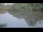 Webcam in Les Landes-Genusson, 0 km