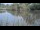 Webcam in Les Landes-Genusson, 0 km