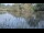 Webcam in Les Landes-Genusson, 0 km