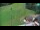 Webcam in Železniki, 6 km