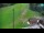 Webcam in Železniki, 2.5 mi away