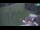 Webcam in Železniki, 0.2 km