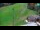 Webcam in Železniki, 4.6 mi away