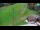 Webcam in Železniki, 4.6 mi away