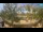 Webcam in Sisak, 1.7 km