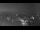 Webcam in Ladenburg, 8 mi away