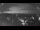 Webcam in Ladenburg, 4.7 mi away
