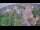 Webcam in Ladenburg, 17 km entfernt