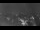 Webcam in Ladenburg, 23.3 km