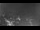Webcam in Ladenburg, 12.5 km entfernt