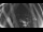 Webcam in Ladenburg, 6.2 mi away