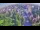 Webcam in Ladenburg, 8 mi away