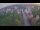 Webcam in Ladenburg, 9.7 km entfernt