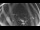 Webcam in Ladenburg, 16.3 mi away