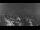 Webcam in Ladenburg, 3.7 mi away