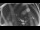 Webcam in Ladenburg, 1.9 mi away