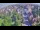 Webcam in Ladenburg, 20.9 km