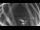 Webcam in Ladenburg, 4.7 mi away