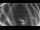 Webcam in Ladenburg, 8 mi away