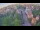 Webcam in Ladenburg, 25.1 km entfernt