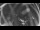 Webcam in Ladenburg, 8 mi away
