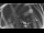 Webcam in Ladenburg, 8.9 mi away
