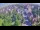 Webcam in Ladenburg, 9.3 mi away