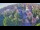 Webcam in Ladenburg, 23.3 km