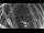 Webcam in Ladenburg, 8.1 mi away