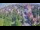 Webcam in Ladenburg, 24.1 km