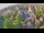 Webcam in Ladenburg, 9.7 km