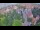 Webcam in Ladenburg, 8 mi away