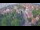 Webcam in Ladenburg, 9.5 km entfernt